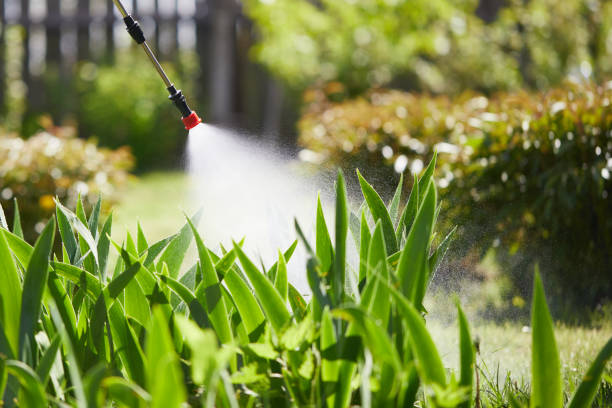 24/7 Emergency Ant Control experts in Johnson City, KS