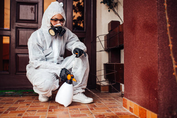Reliable Ant Control contractor in Johnson City, KS by Show Me Pest Control